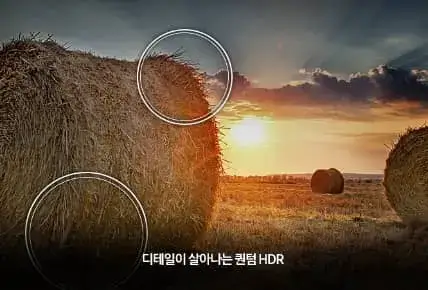 삼성닷컴 단독 QLED 4K 런칭